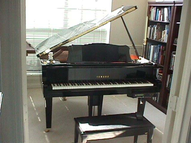 pianoday.jpg (47046 bytes)