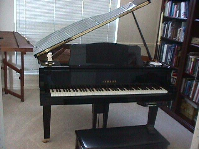 pianoz.jpg (43848 bytes)